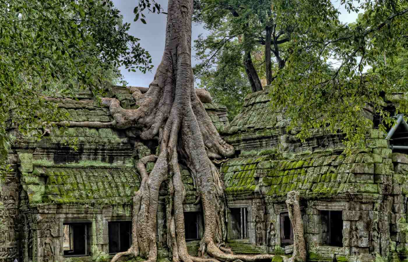 obtendo seu visto para o camboja um guia pratico para turistas 3